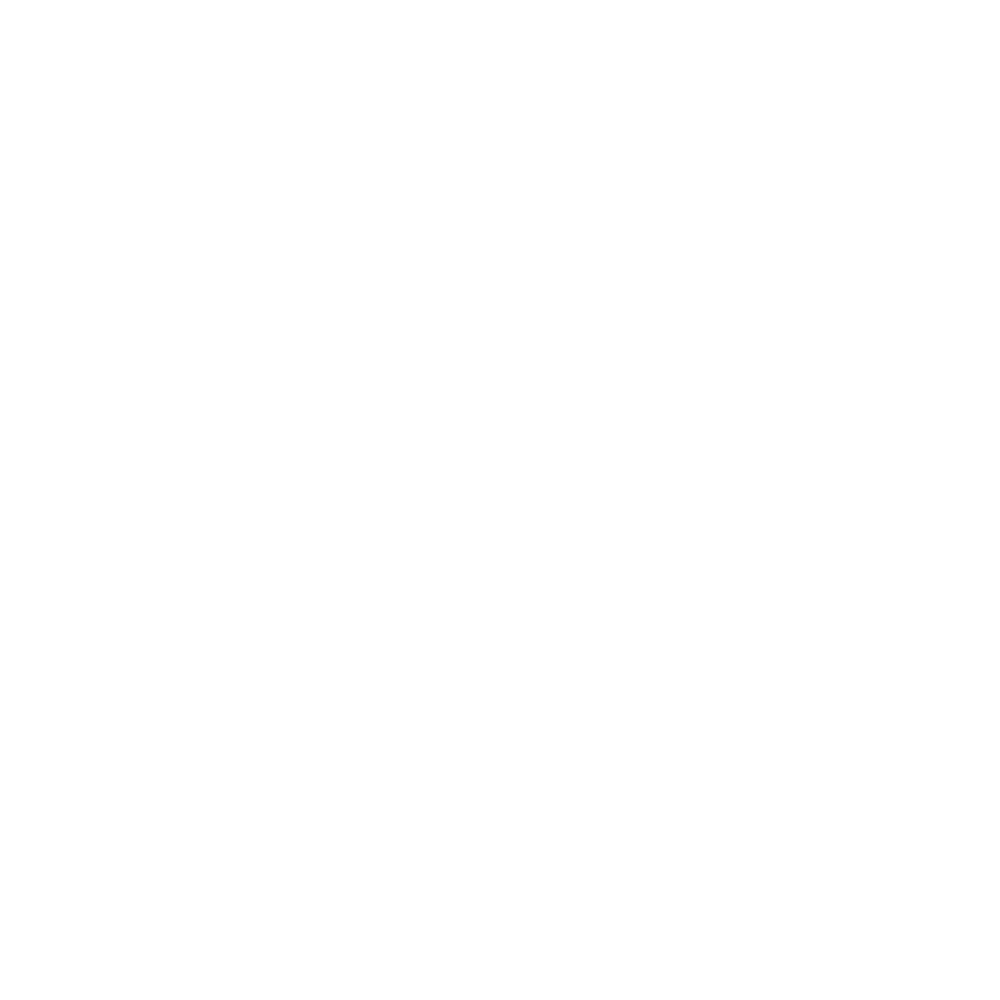 feature-item-4